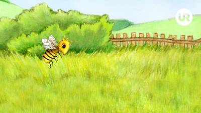 2. Birger Bi och blomsterängen