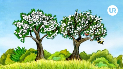 4. Äppelblommor i fara