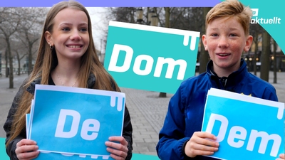 De dem eller dom?