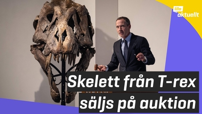 Hur gammalt är skelettet?