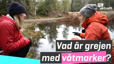 Kan påverka klimatet