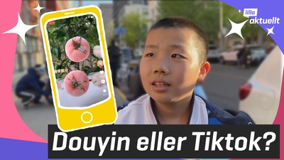 Douyin eller Tiktok?