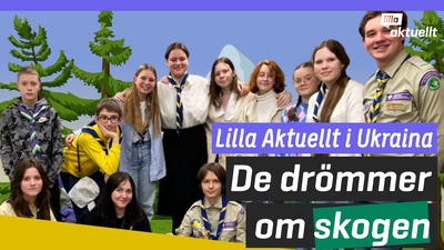 Scouterna i Ukraina