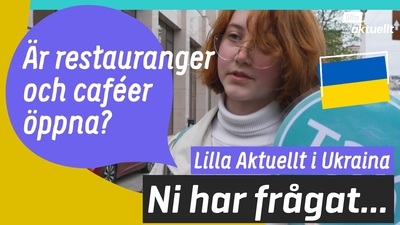 Vi svarar