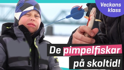 De fiskar tillsammans