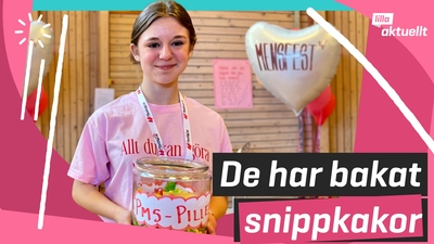 De har bakat snippkakor