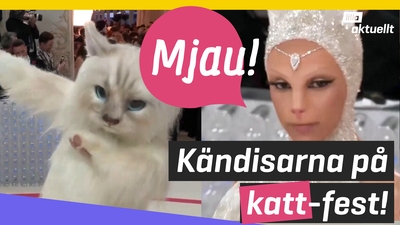 Spexig Met-gala i år