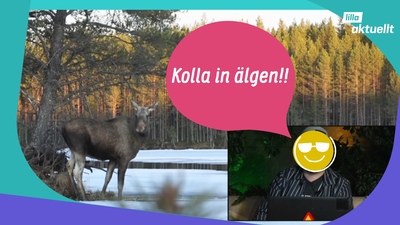 Han kommenterade