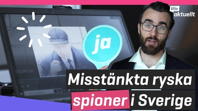 Stor granskning avslöjar
