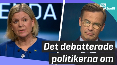 Partiledardebatt