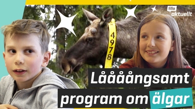 Nu sänds det!