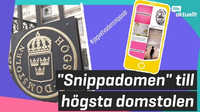 Tas upp i Högsta domstolen