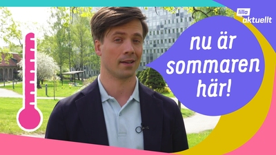 Kort vår och tidig sommar
