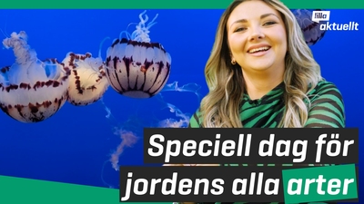 Biologiska mångfaldens dag