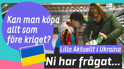 Illja som varit i Sverige berättar