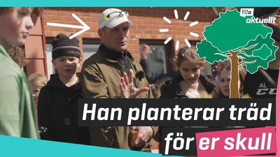 Vad är "barnens träd"?