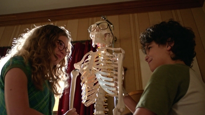 6. Skelettet