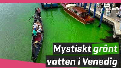 Oklart vatten i Venedig