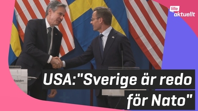 USA på Sverigebesök