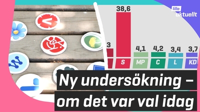 De har ökat stöd sen valet