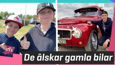 Gamla bilar är deras grej