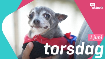 Tor 1 jun 18:15