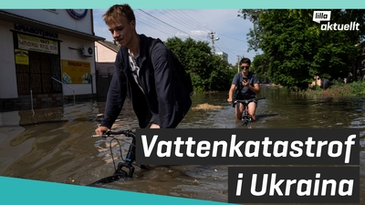 Damm har kollapsat