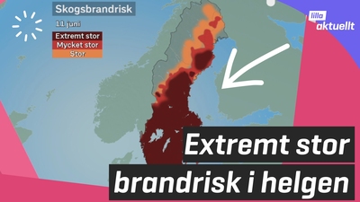 Eldförbud på många platser