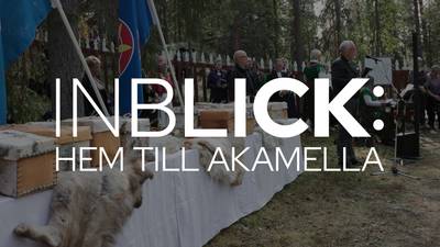 Inblick: Hem till Akamella (svenska)