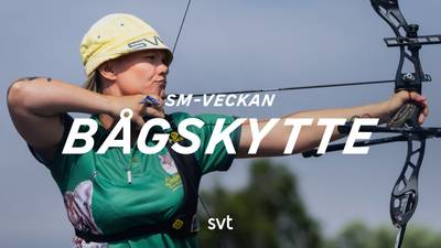 Bågskytte