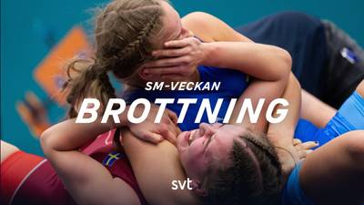 Fristilsbrottning