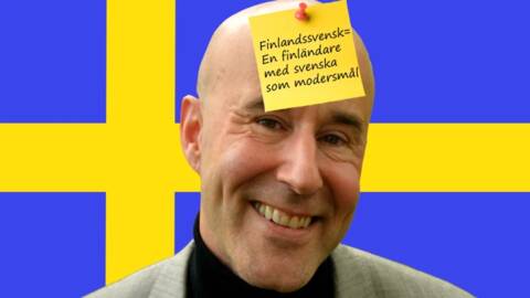 Finlandssvenskar i sverige