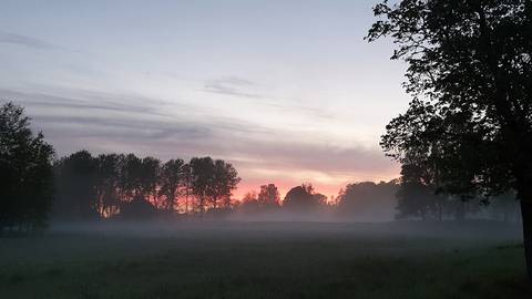 Vad är negativa joner