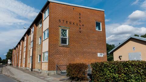 14 Arig Pojke Misshandlad Pa Malmoskola Fruktansvard Handelse Svt Nyheter