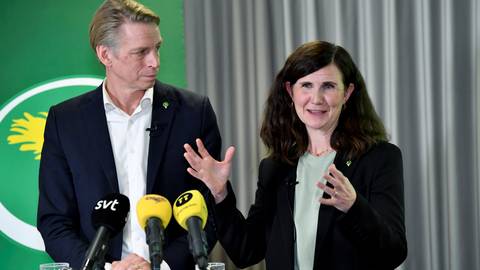 Vad Tycker Miljöpartiet Om Skatter