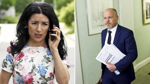 Den politiska vilden Amineh Kakabaveh inför misstroendeomröstningen mot Morgan Johansson (S).