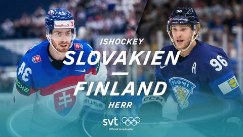 Slovakien-Finland, herrar