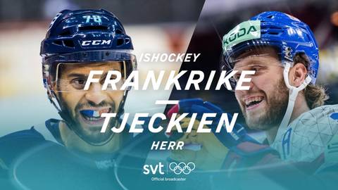 Frankrike-Tjeckien, herrar