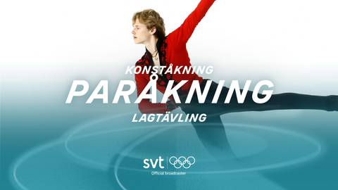 Lagtävling - paråkning, damer, herrar