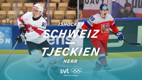 Schweiz-Tjeckien, herrar