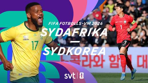Sydafrika – Sydkorea