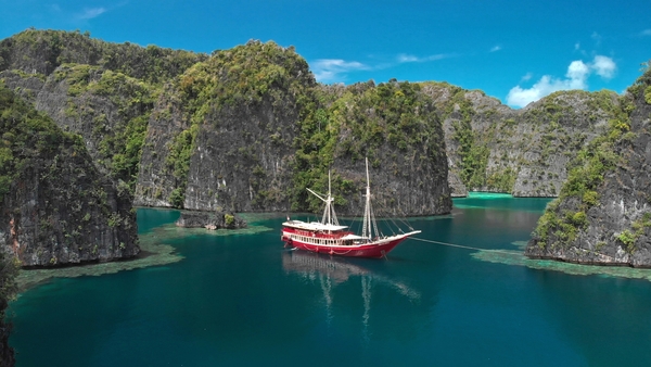 Korallrevens förtrollade värld