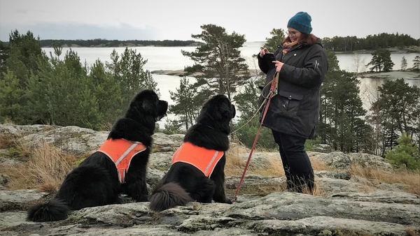 Svenskfinland runt