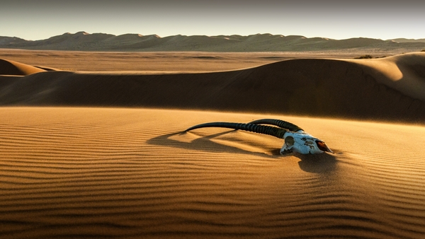 Världens natur: Namibia