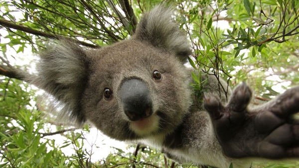 Australiens orörda natur