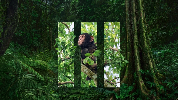 Världens natur: Planet Earth III