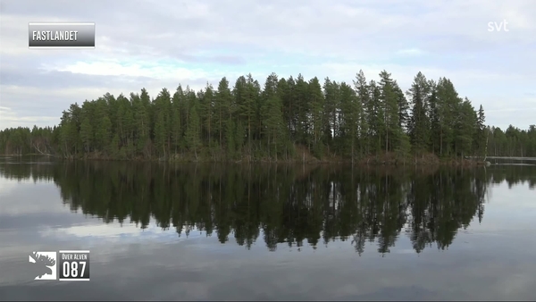 Den stora älgvandringen