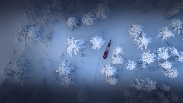 Världens natur: Tomtens vilda värld