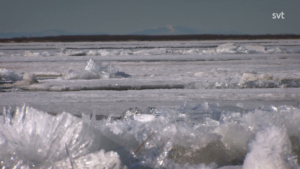 Den förbjudna floden