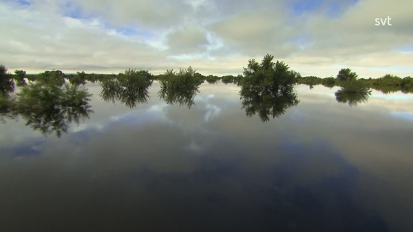 Den förbjudna floden